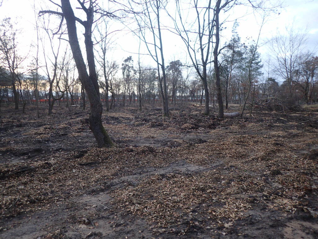 holzhackscnitzel verteilt